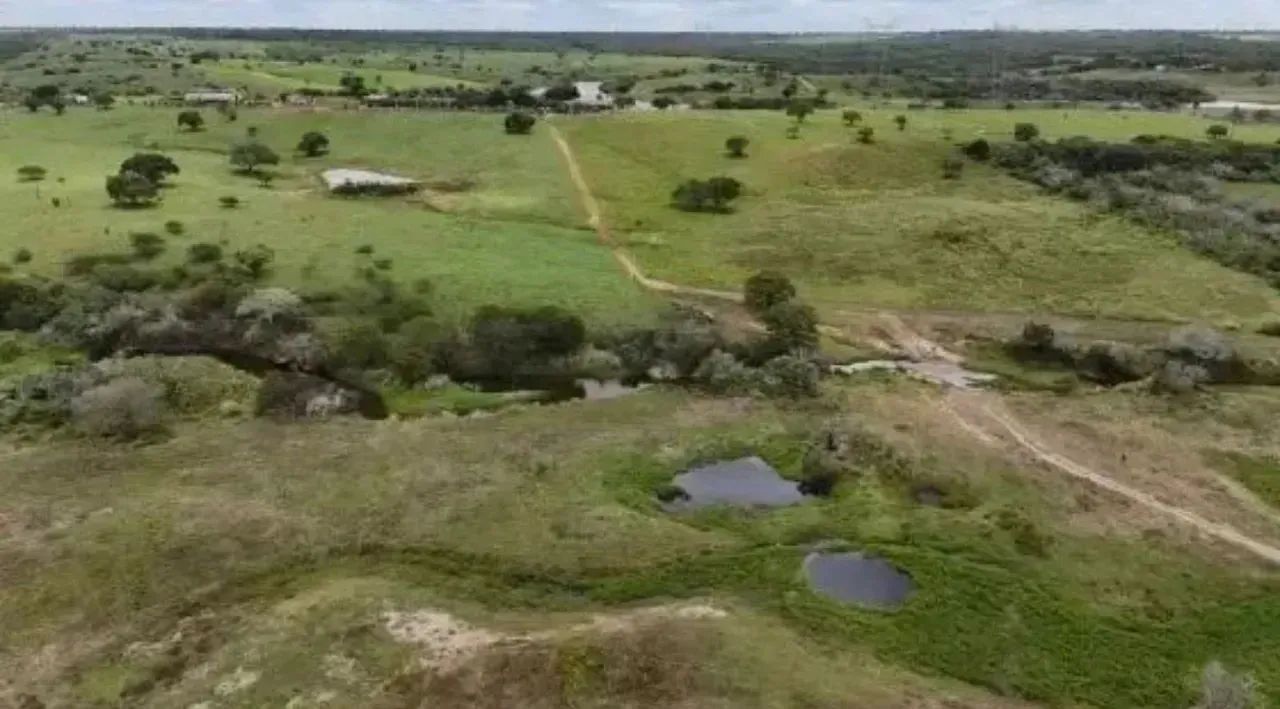 Fazenda Arapiranga a Venda 341 Hectares - Foto 5