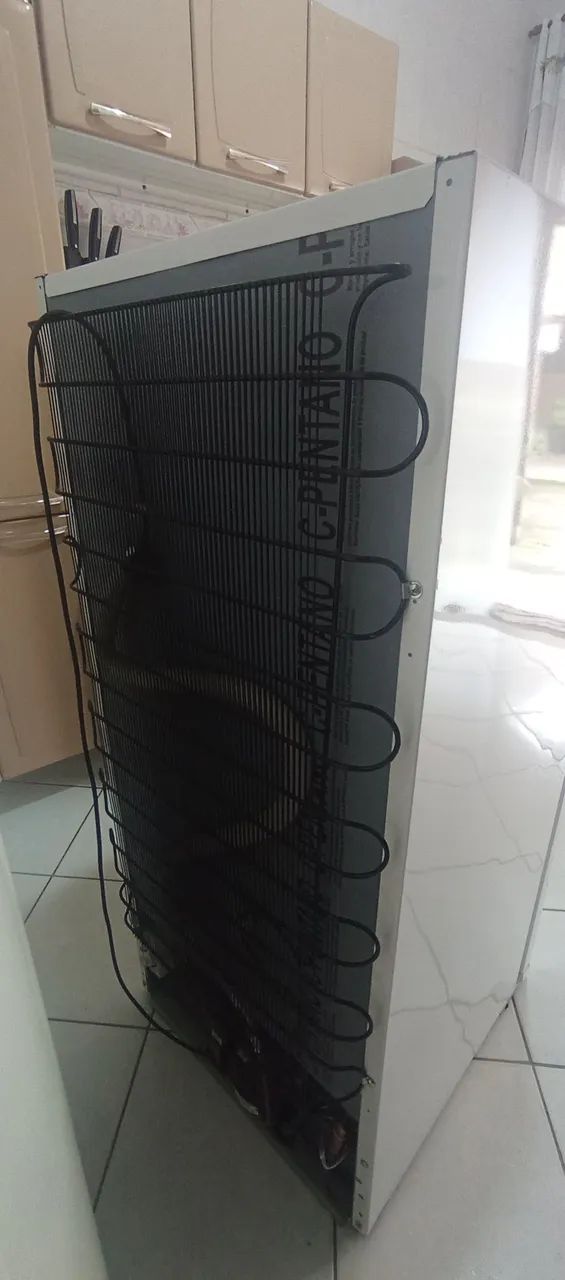 Freezer Electrolux Defrost  - Foto 3