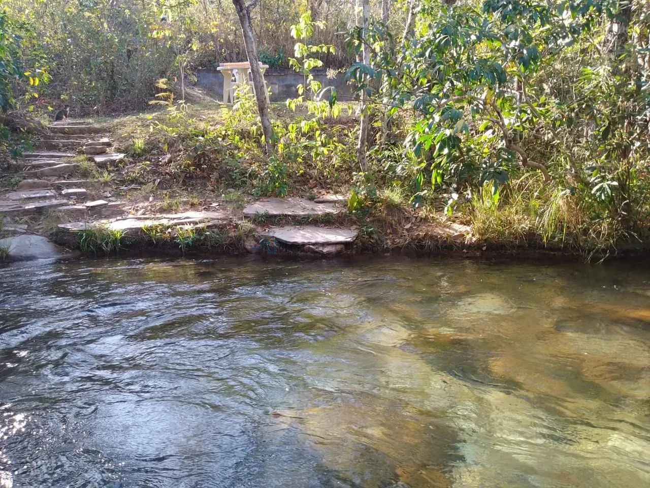 CHACARA A VENDA NO PACIENCIA PROX. A SALGADEIRA - Foto 3