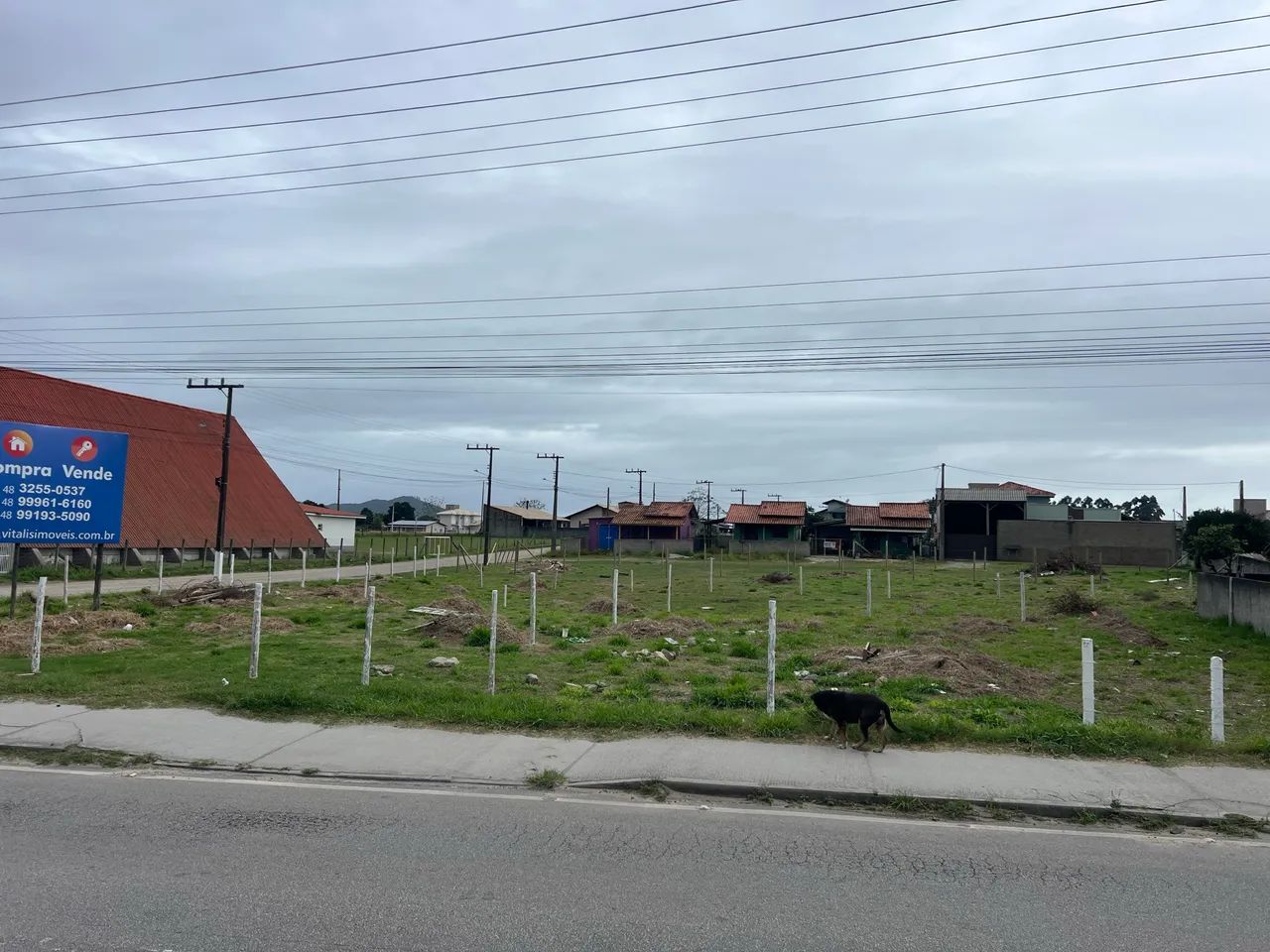 Vendo lotes, direto com o proprietário.  - Foto 5