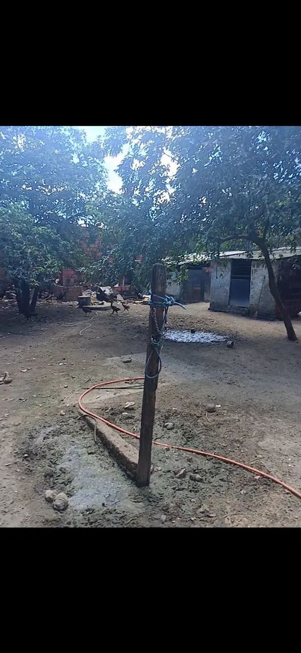 Vendo casa - Foto 2