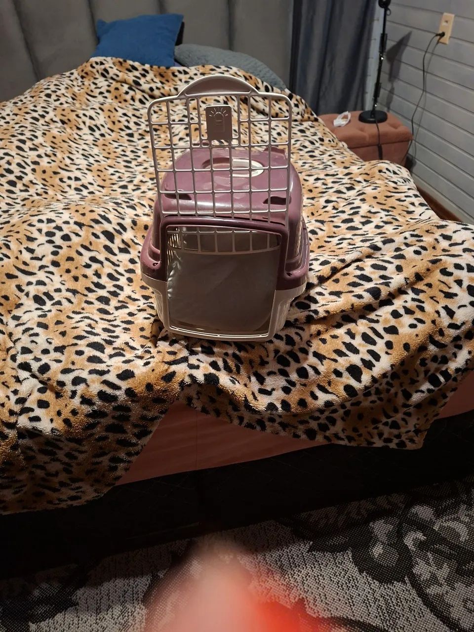 Caixa transporte Pet 