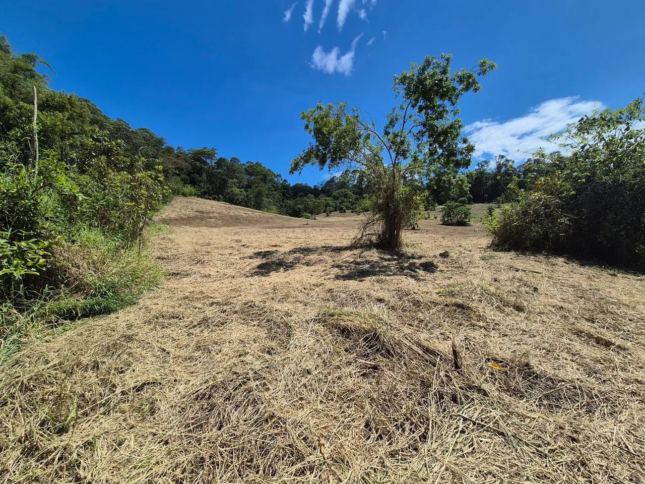 Lotes e sítios regularizados Vila Moraes Mogi das Cruzes - Foto 3