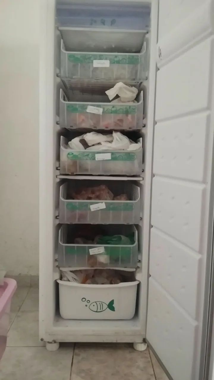 FREEZER VERTICAL CONSUL - Foto 2
