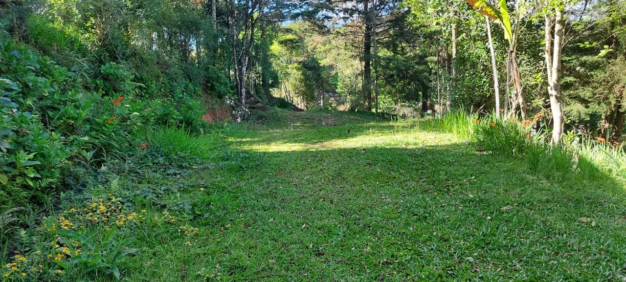 Terreno em rancho queimado  - Foto 6