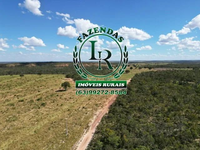 Oportunidade Fazenda Bruta Tocantins 117 alqueires. - Foto 2