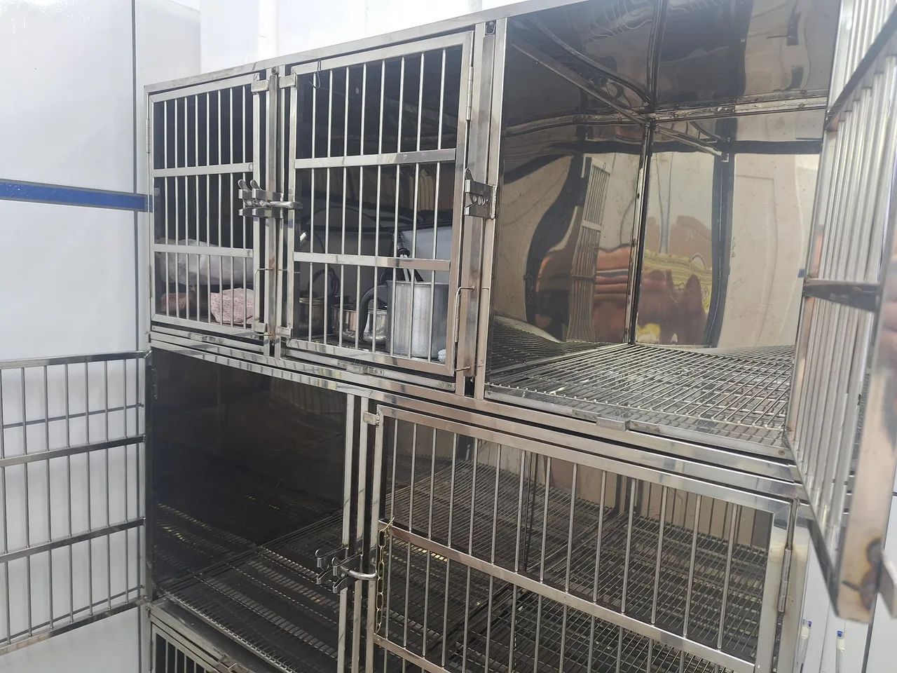 Canil aço inox para 7 animais - Foto 3