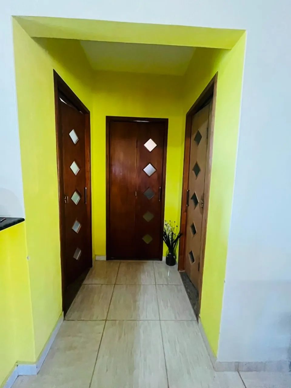 Lindo Sítio 10.000m2 - Foto 2
