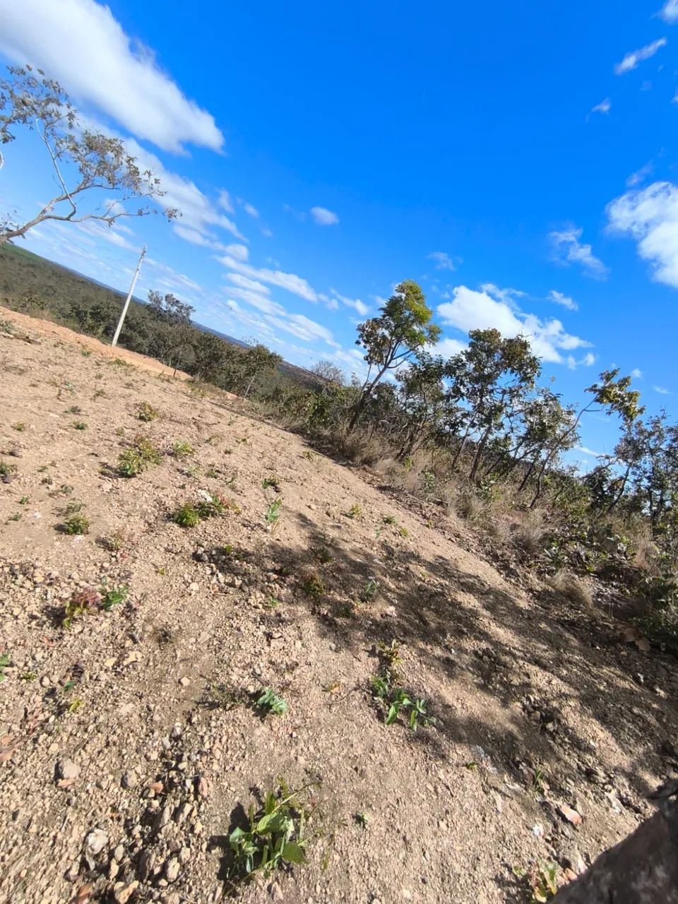 Lote 5000 metros em jaboticatubas  - Foto 4