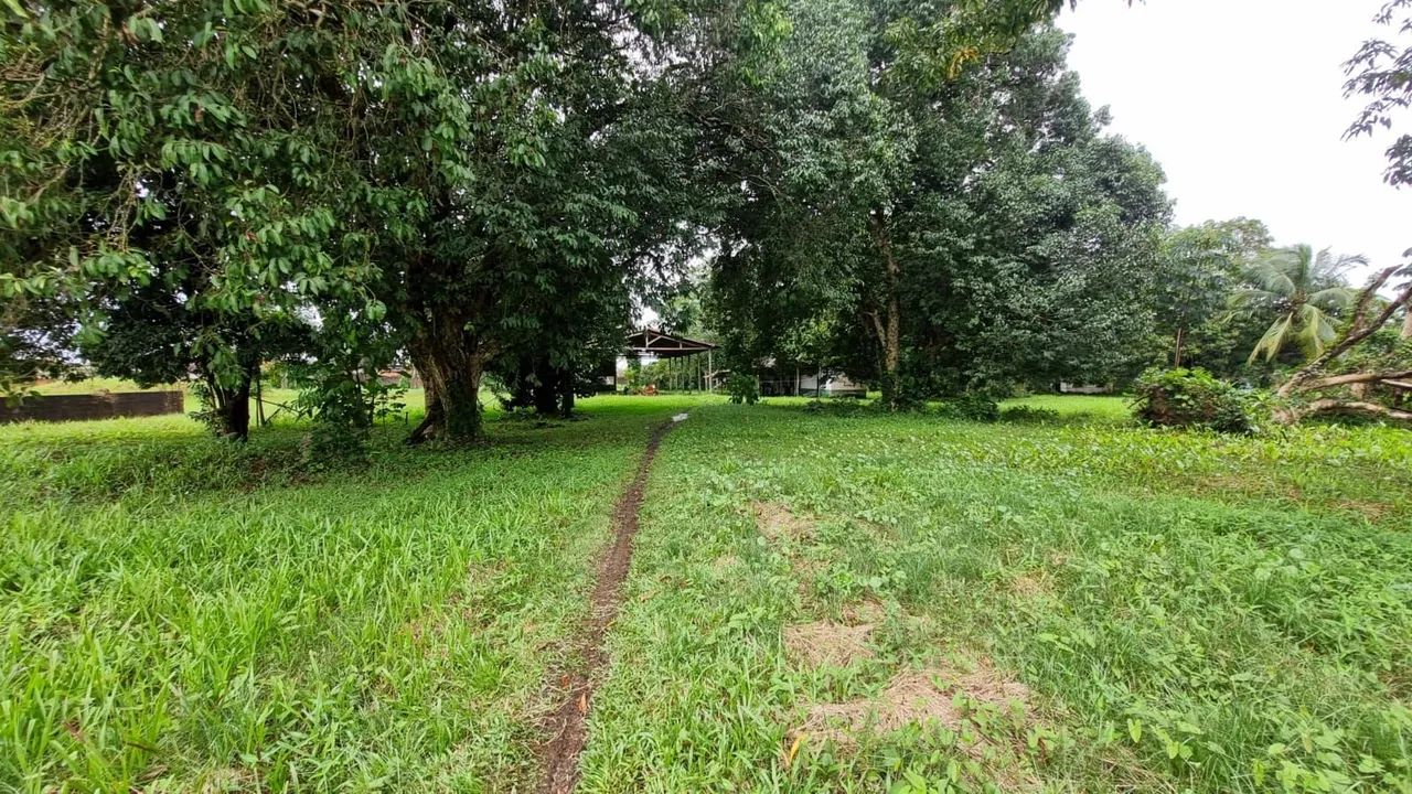 ALUGO TERRENO COM 19.500 M2 - Foto 5