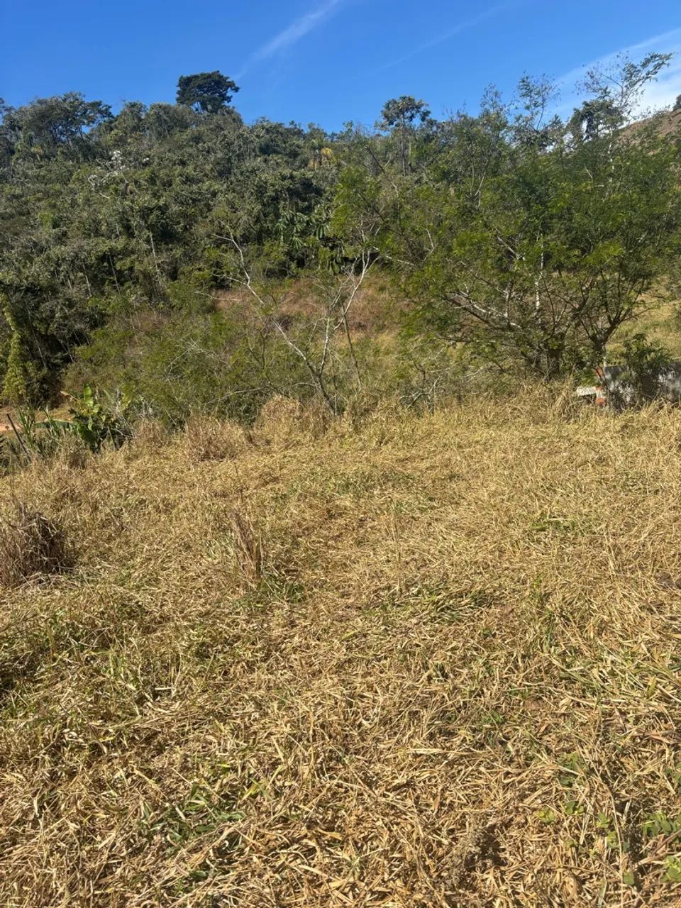 Terreno  - Foto 2