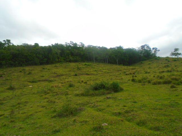 Código 223 Fazenda localizada no Retiro, próxima a RJ 106, Maricá-RJ - Foto 6