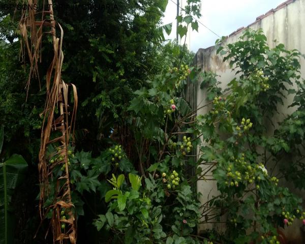 Casa à venda com 2 dormitórios em Jardim morada do sol, Indaiatuba cod:CA04679 - Foto 7