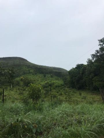 86 Alq 140 km de Goiânia - Foto 7