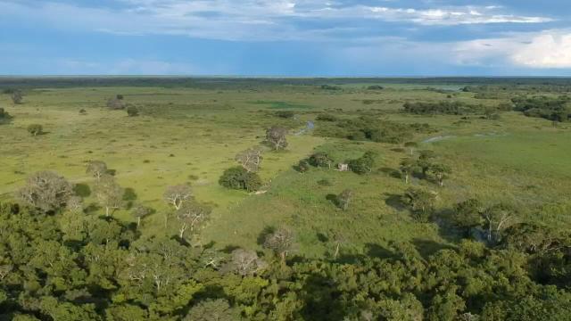 Fazenda 9.715 hectares no pantanal de Poconé MT - Foto 12