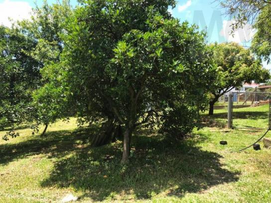 Área para venda em estância velha, união - Foto 12