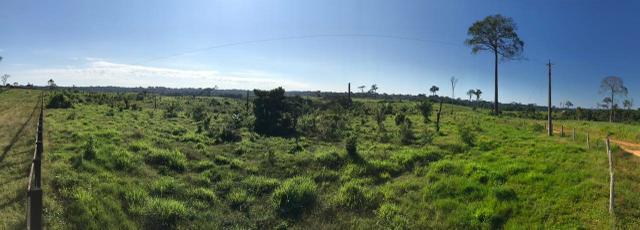 Fazenda no Acre - Foto 12