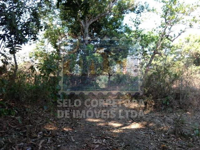 Otima Fazenda Muni. de Santo Antonio de Leveger a 20 km de Cuiabá - Foto 9