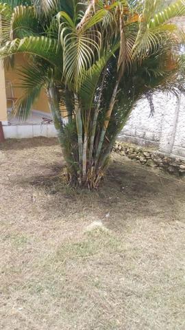 Casa Pirambu 300 metros da praia - Foto 8