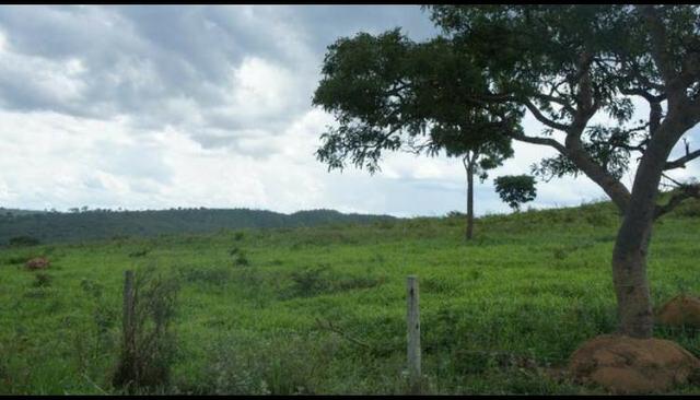 Fazenda 225 km de Goiânia município de Ipameri - Foto 2