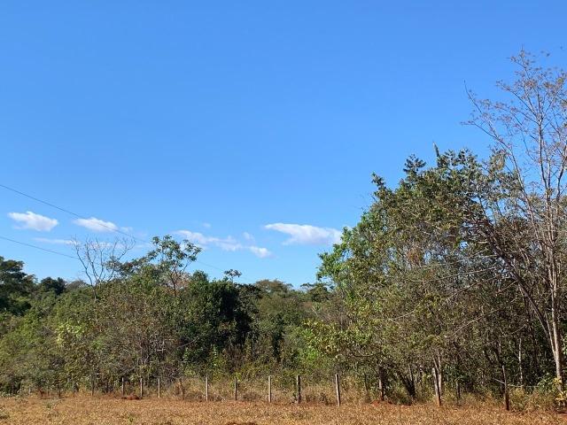 Chácara de 4.75 alqueires ( 23.05 ha ) Cristianópolis-GO - Foto 6