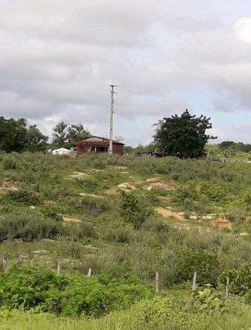 Fazenda rural em forquilha - Foto 11