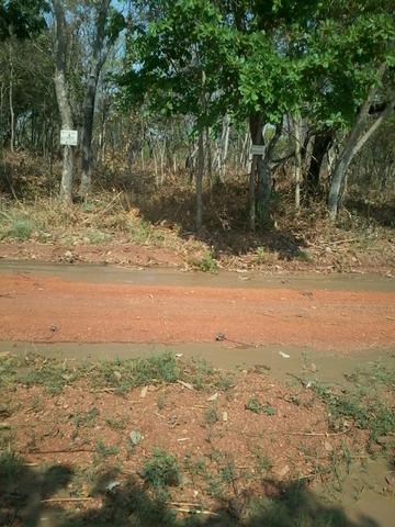 Vendo terreno próximo ao condomínio florais da mata - Foto 3