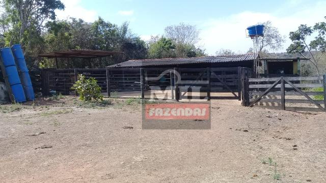 Oportunidade chácara, sítio 4 Hidrolândia/Aragoiania - Foto 3