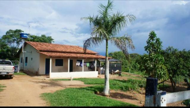 Fazenda 225 km de Goiânia município de Ipameri