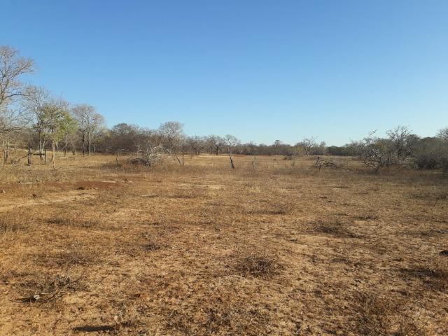 Chácara 04 hectares - Flores de Goiás - Foto 12