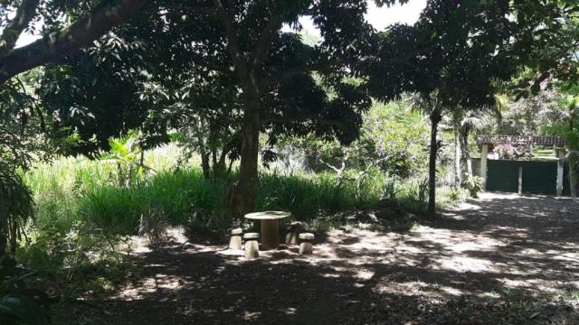 Sítio à venda em Itaocaia valley (itaipuaçu), Maricá cod:SI0029 - Foto 14