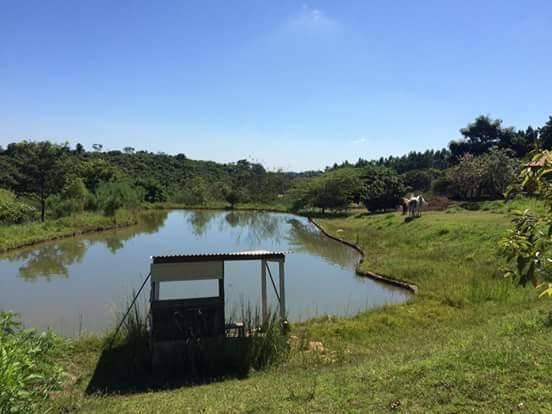 Sítio rural à venda, Pimenta, Indaiatuba. - Foto 7