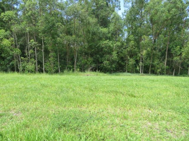 Terreno ninho verde, com fundo para área verde, 450 m², Imobiliária Paletó - Foto 4