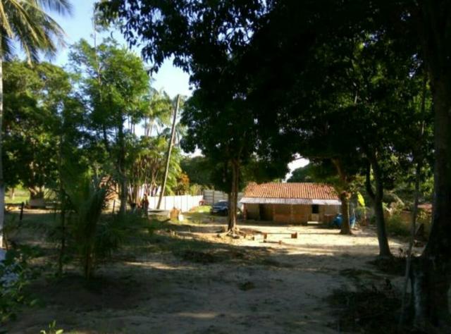 Sítio com casa - Foto 3