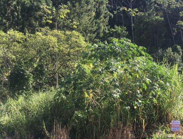 Terreno de Esquina - Nova Esperança - Foto 3