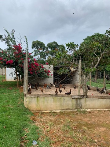 Fazendinha em Santa Maria DF - Foto 5