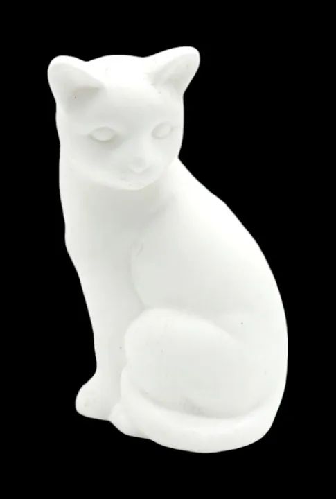 Gatinho Branco