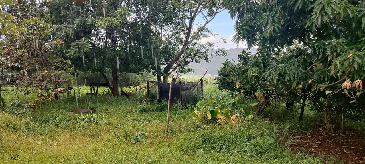 Chácara em Bela vista  - Foto 3