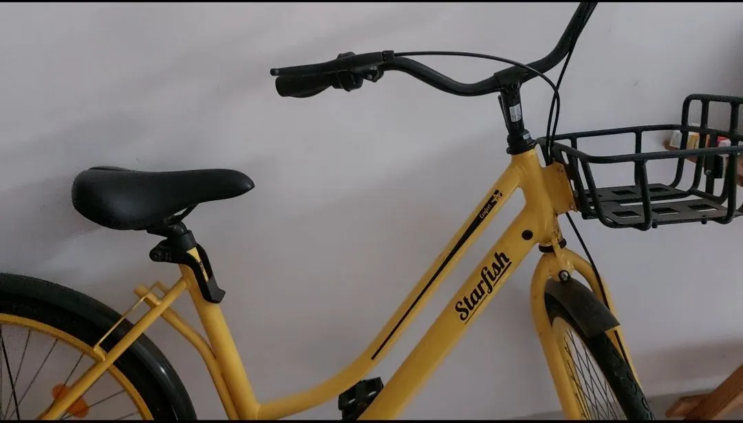 Bicicleta Starfish