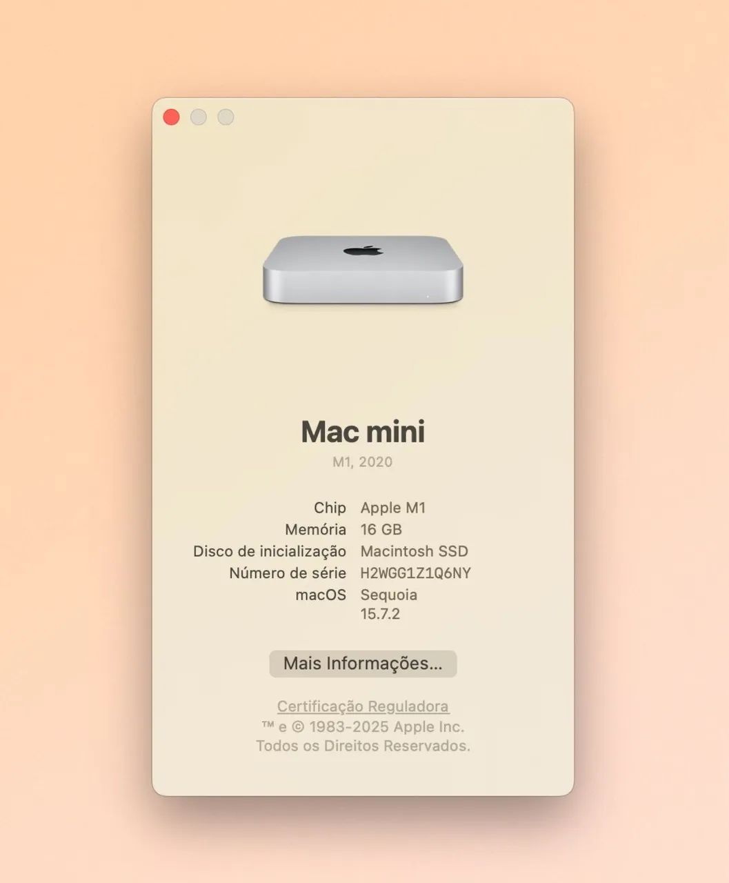 BLACK FRIDAY Apple Mac Mini 2020 M1 256/16 - Computadores e