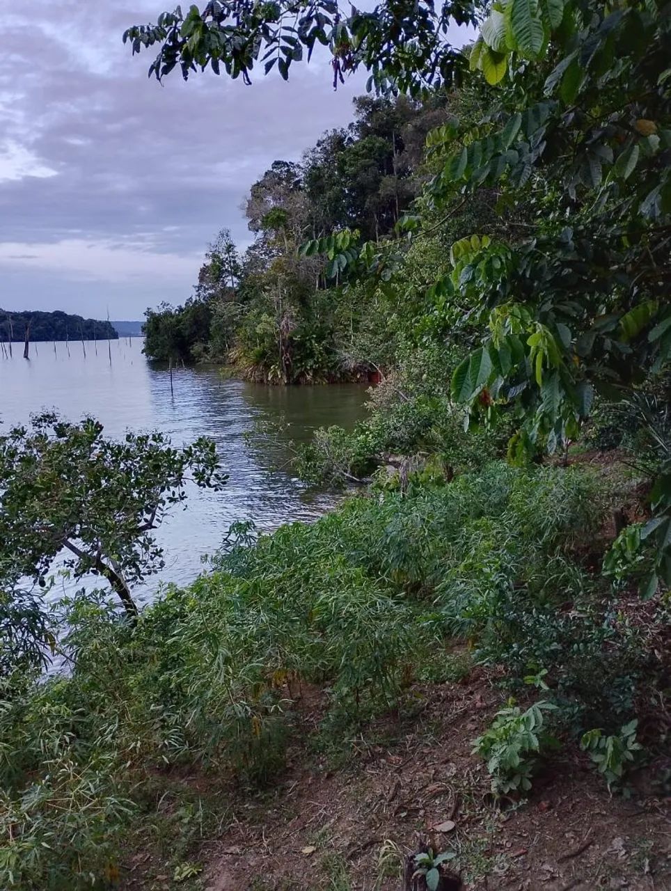 Foto - Manaus - Cidade de Deus