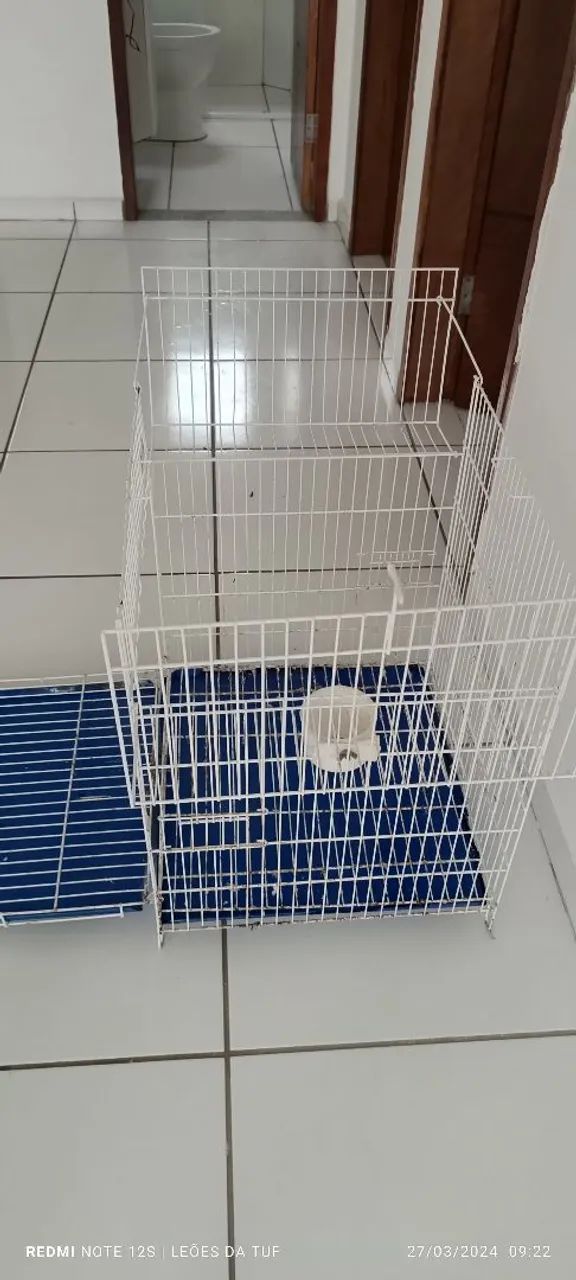 Gaiola para pagaio calopsitas  - Foto 4