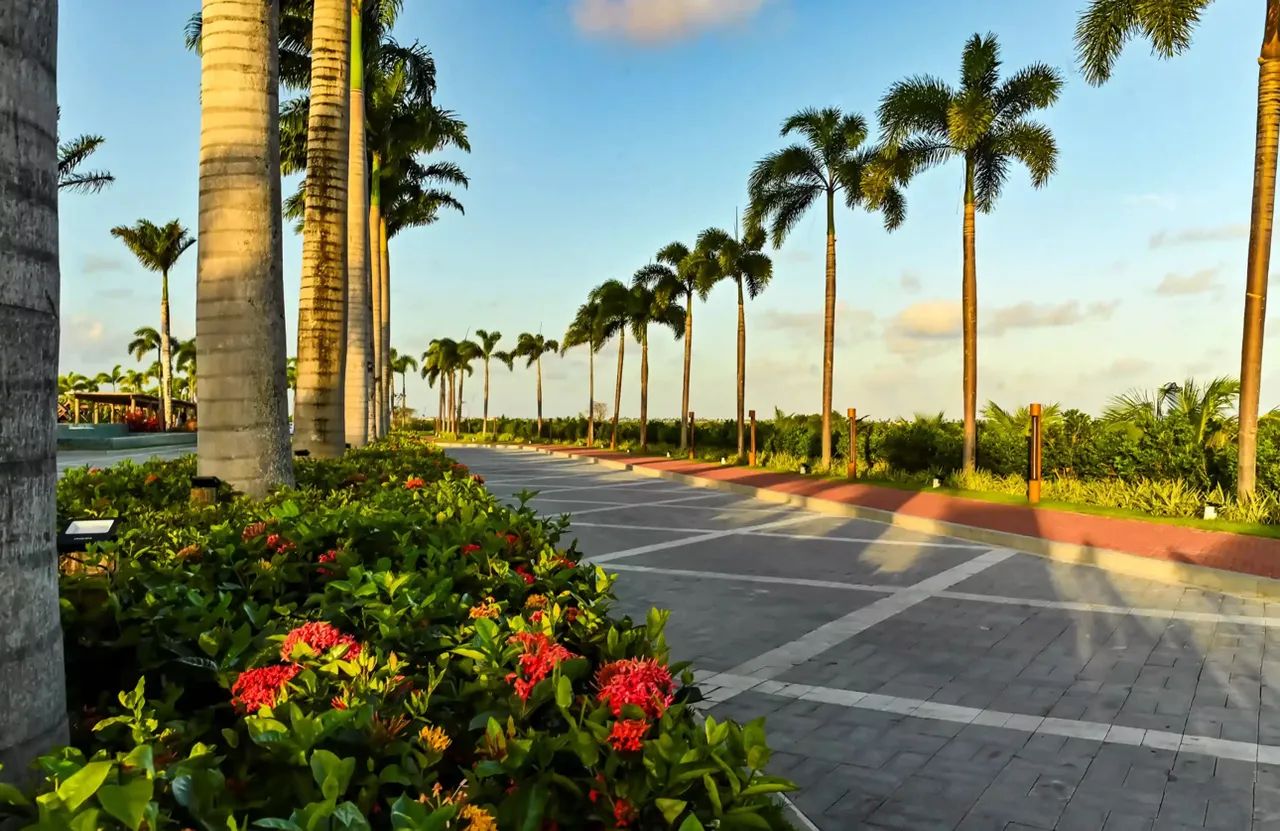 LÁ LAGUNA - NASCENTE- PROPRIETÁRIO  - Foto 11