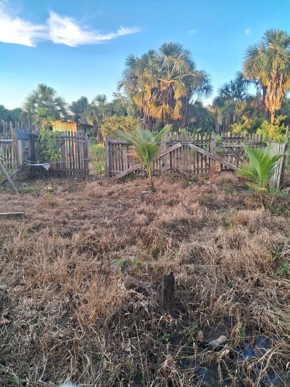 Vendo um terreno tamanho 8 por 30 vila Acre sol nascente  - Foto 4