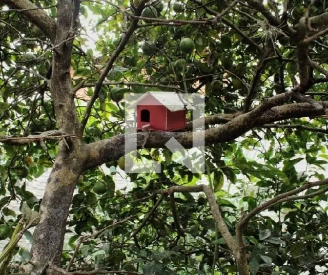 Lar para Viver  - Foto 2