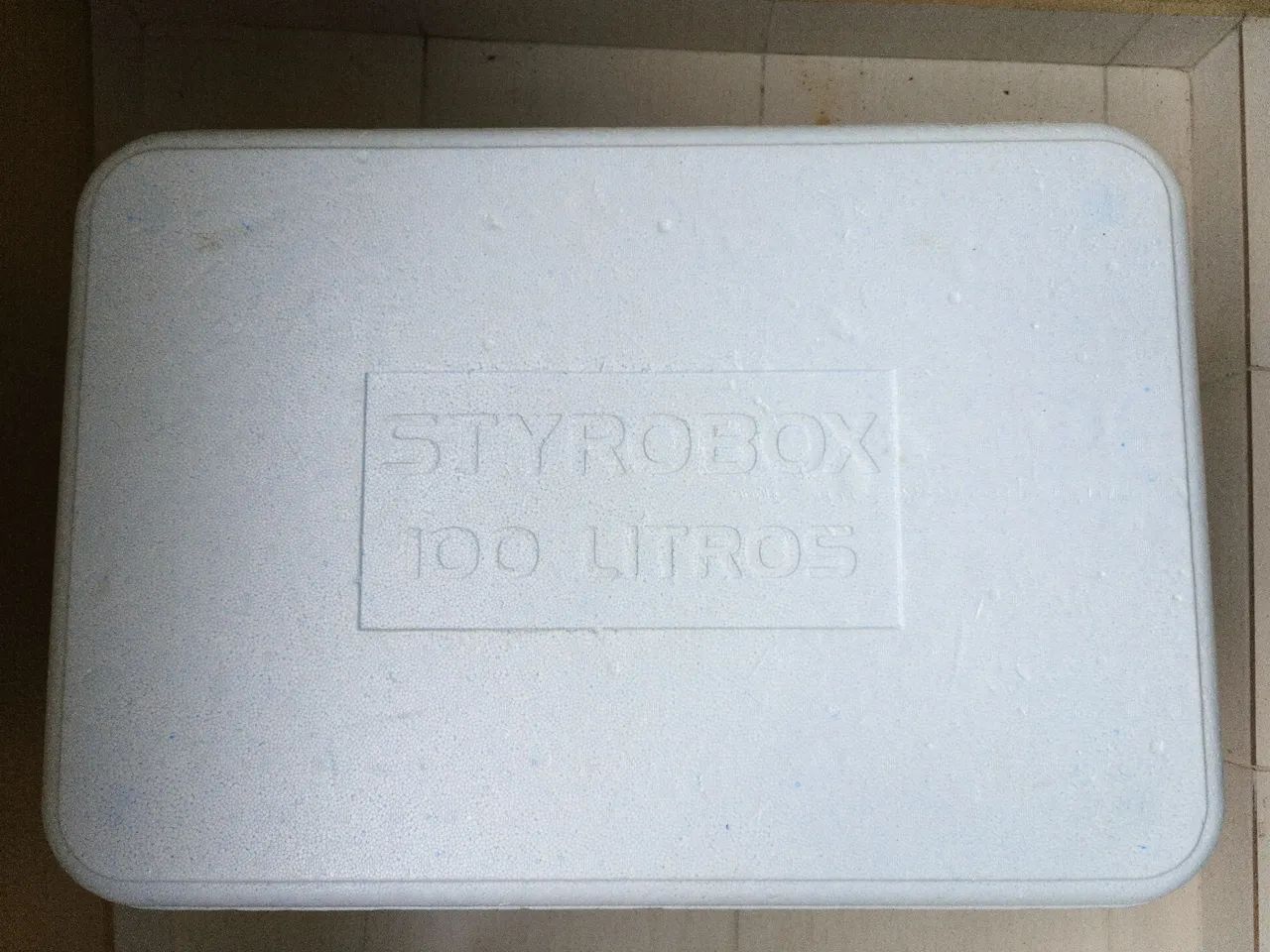 Isopor 100 Litros - Foto 2