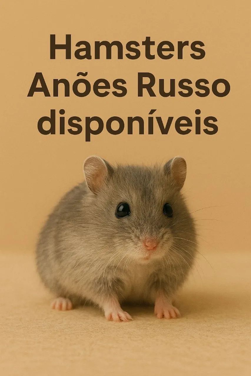 Gerbil e hamsters 64750969731587120