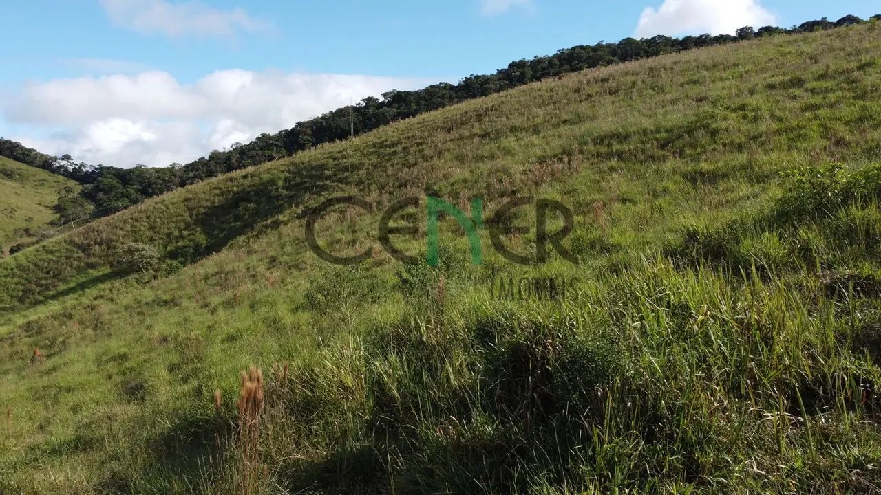 Fazendinha muito boa de 29 ha na região de Cons Lafaiete MG - Foto 2