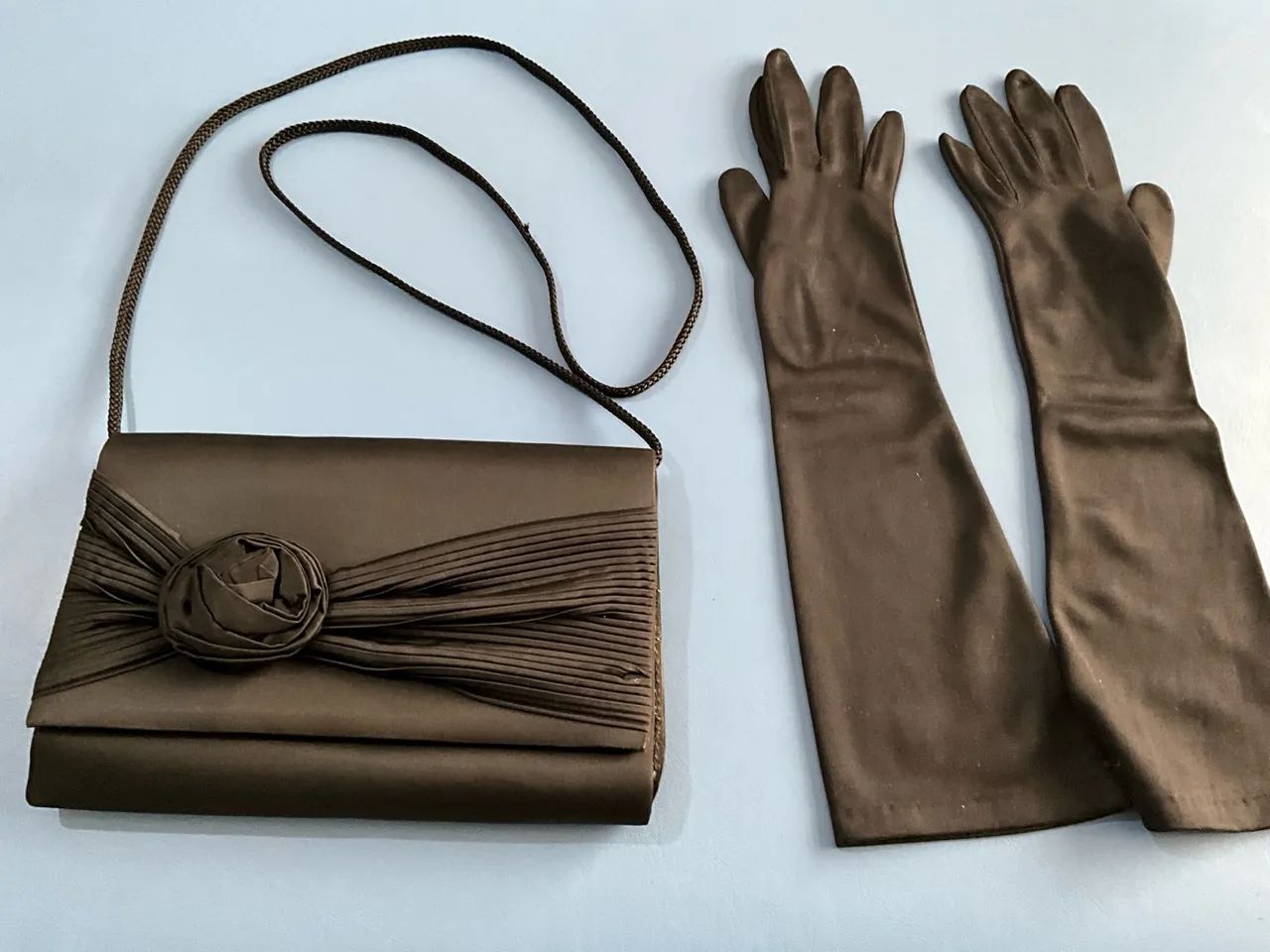Bolsa de mão e luvas elegantes