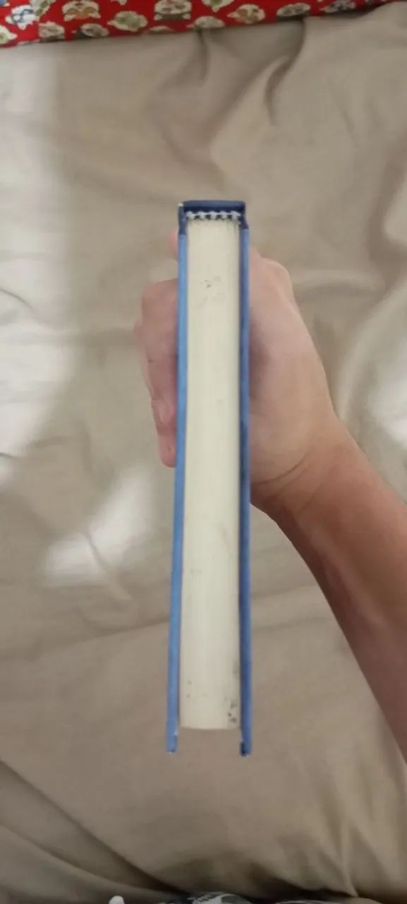 Livro diário de um banana 2: Rodrick é o cara - Foto 3